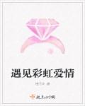 小说：遇见彩虹爱情，作者：格子卟