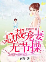 小说：隐婚挚爱：总裁宠妻无节操，作者：西爷