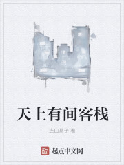 小说：天上有间客栈，作者：连山易子
