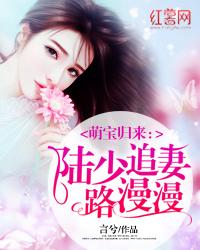 小说：萌宝归来：陆少追妻路漫漫，作者：言兮