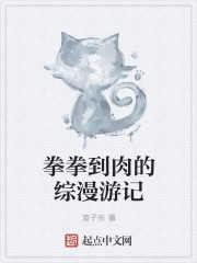 小说：拳拳到肉的综漫游记，作者：渣子张