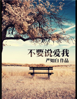 小说：不要说爱我，作者：严如白