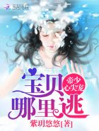 小说：帝少心尖宠：宝贝，哪里逃，作者：紫玥悠悠