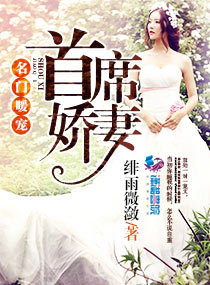 小说：名门暖宠首席娇妻，作者：绯雨微潋