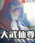 小说：大武仙尊，作者：拾丁