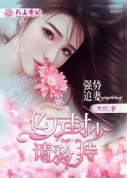 小说：强势追妻，亿万封少请矜持，作者：束织
