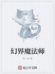 小说：幻界魔法师，作者：符小妖