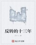 小说：反转的十三年，作者：ZN十三