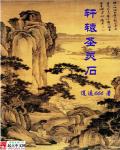 小说：轩辕圣灵石，作者：逍遥666