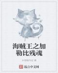 小说：海贼王之加勒比残魂，作者：冲锋喊乌拉