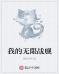 小说：我的无限战舰，作者：微生妙海