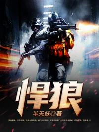 小说：悍狼，作者：半天妖