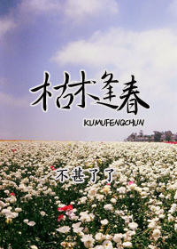 小说：枯木逢春，作者：不甚了了