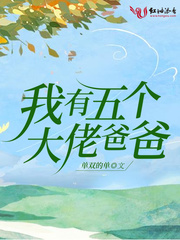 小说：我有五个大佬爸爸，作者：单双的单