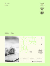 小说：再青春，作者：辛夷坞