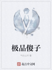 小说：极品傻子，作者：气壮山河