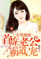 小说：首席老公霸道宠：宝贝，继续，作者：柒惜