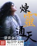 小说：炼灵通天，作者：一袋黄金
