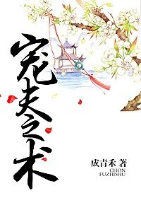 小说：宠夫之术，作者：成青禾