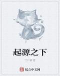 小说：起源之下，作者：江户英