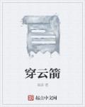 小说：穿云箭，作者：诸晓