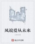 小说：风说爱从未来，作者：白笑咸