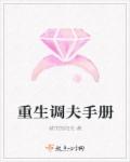 小说：重生调夫手册，作者：城市的阳光