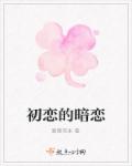 小说：初恋的暗恋，作者：爱葉依米