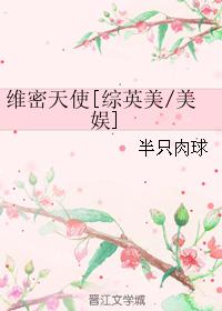 小说：维密天使[综英美/美娱]，作者：半只肉球