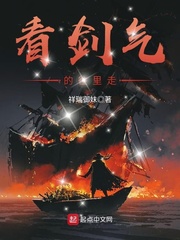 小说：看剑气的往里走，作者：祥瑞御妹