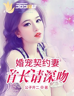 小说：婚宠契约妻:老公请深吻，作者：公子亓二