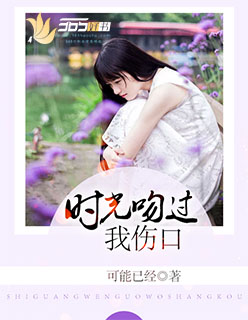 小说：时光吻过我伤口，作者：可能已经