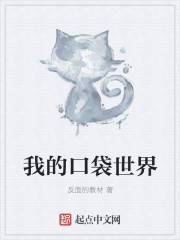 小说：我的口袋世界，作者：反面的教材