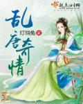 小说：乱唐奇情，作者：玎珰兔
