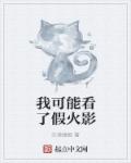 小说：我可能看了假火影，作者：沙漠蜻蜓