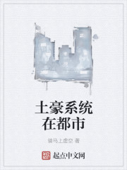小说：土豪系统在都市，作者：骑马上虚空