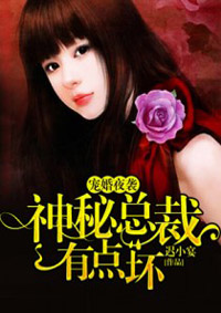小说：宠婚夜袭：神秘总裁有点坏，作者：迟小宴