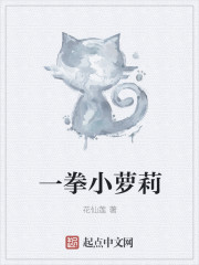 小说：变身一拳小萝莉，作者：花仙莲