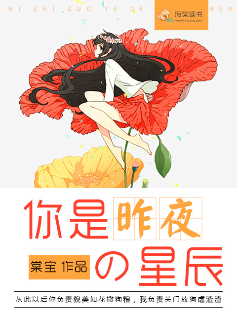 小说：你是昨夜的星辰，作者：棠宝