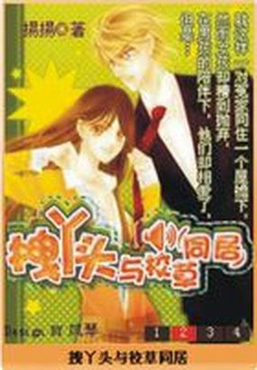 小说：拽丫头与校草恋爱，作者：揚揚