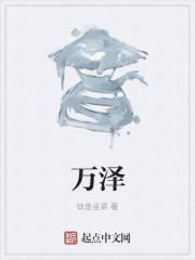 小说：万泽，作者：钛金韭菜