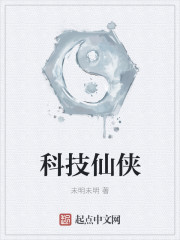 小说：科技仙侠，作者：未明未明