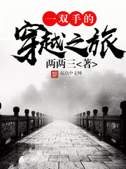 小说：一双手的穿越之旅，作者：两两三