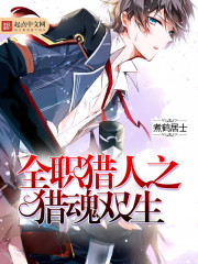 小说：全职猎人之猎魂双生，作者：煮鹤居士