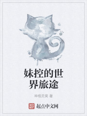 小说：妹控的世界旅途，作者：神棍灵昊