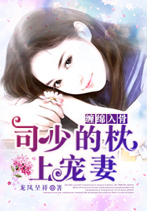 缠绵入骨:司少的枕上宠妻
