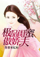 小说：极品闺蜜傲娇夫，作者：宋忆杉