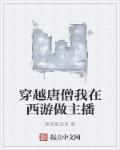小说：穿越唐僧我在西游做主播，作者：唐僧要返俗