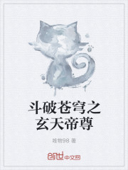 小说：斗破苍穹之玄天帝尊，作者：唯物98