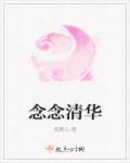 小说：念念清华，作者：安鹿心